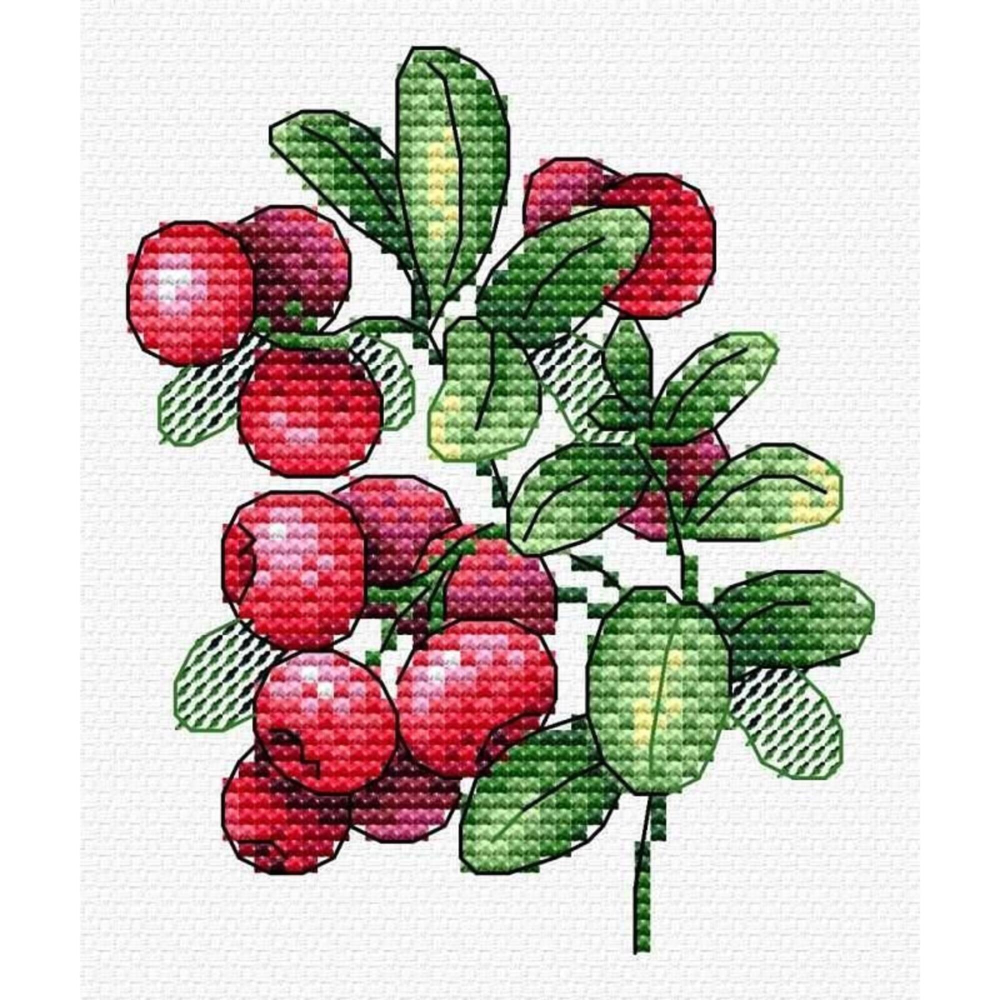 MP Studia Lingonberry Flavor